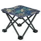 thumbnail image 2 of pstuiky Silla plegable para exteriores ligera para camping picnic playa con cremallera para caballos pequeños para pesca y autoconducción., 2 of 7