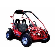 TrailMaster Mid XRX Youth Go Kart, 200cc, Ages 8–14, Up to 25 MPH, Dual Seat, Electric Start (Black)