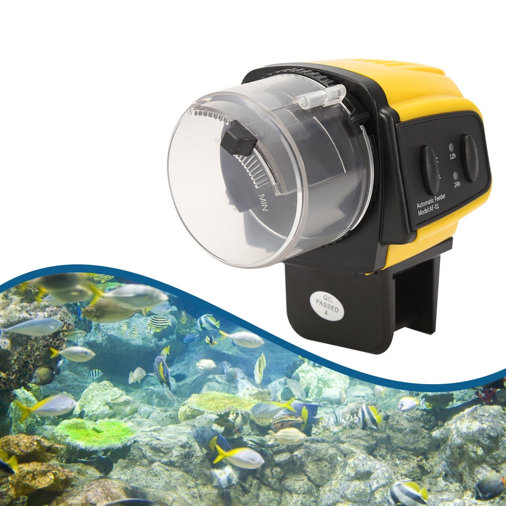 digital fish feeder