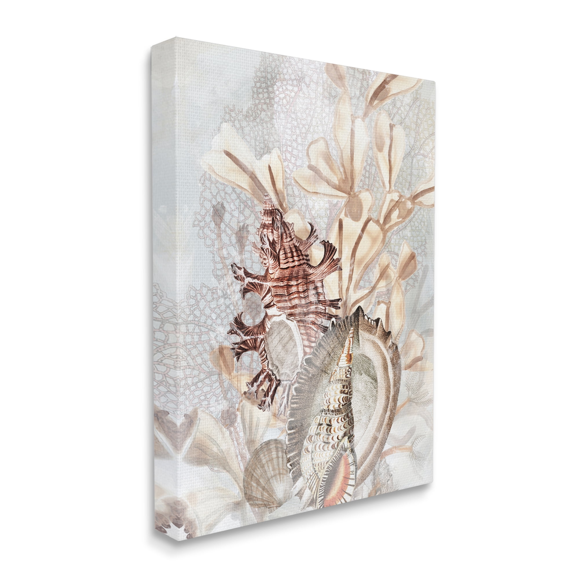Stupell Industries Beige Mixed Seashells Animals & Insects Painting Gallery Wrapped Canvas Art Print Wall Art, 30 x 40
