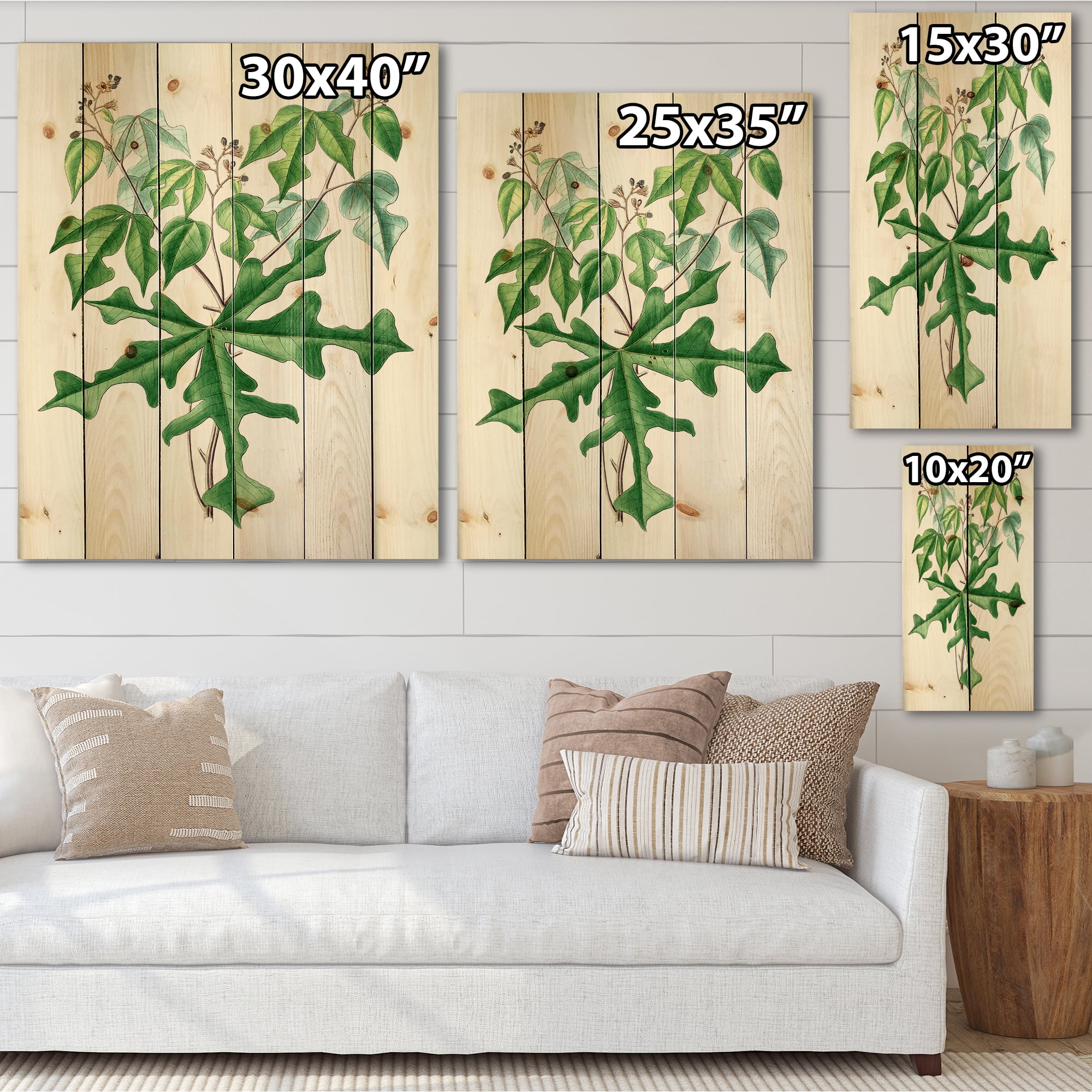 Designart 'Ancient Drawing of Wild Plants' Traditional Print on Natural Pine Wood