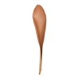 thumbnail image 1 of 42-45 in. Natural Palm Paddles Florida Tree, 1 of 1