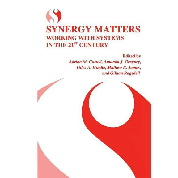 Synergy Matters: Working with Systems in the 21st Century, (Paperback)