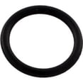 thumbnail image 3 of Super-Pro Max-E-Glass/Dura-Glass Strainer Cover O-Ring, 3 of 3