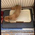 thumbnail image 3 of Tapis de Propreté pour Animaux Lavable Tapis d'Entraînement pour Chiot Super Absorbant, 3 of 8