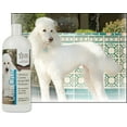 thumbnail image 2 of UltraCruz® Canine Bright White Shampoo, 32 oz, 2 of 4