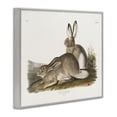 thumbnail image 4 of Stupell Industries Traditional Cottage Hare Animals & Insects Painting Gray Framed Art Print Wall Art, 20 x 16, 4 of 10