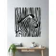 thumbnail image 2 of Zebra Print Black And White Safari Animals Poster Wall Art, Modern Wall Decor For Living Room Bedroom, 16x24 UNFRAMED, 2 of 3