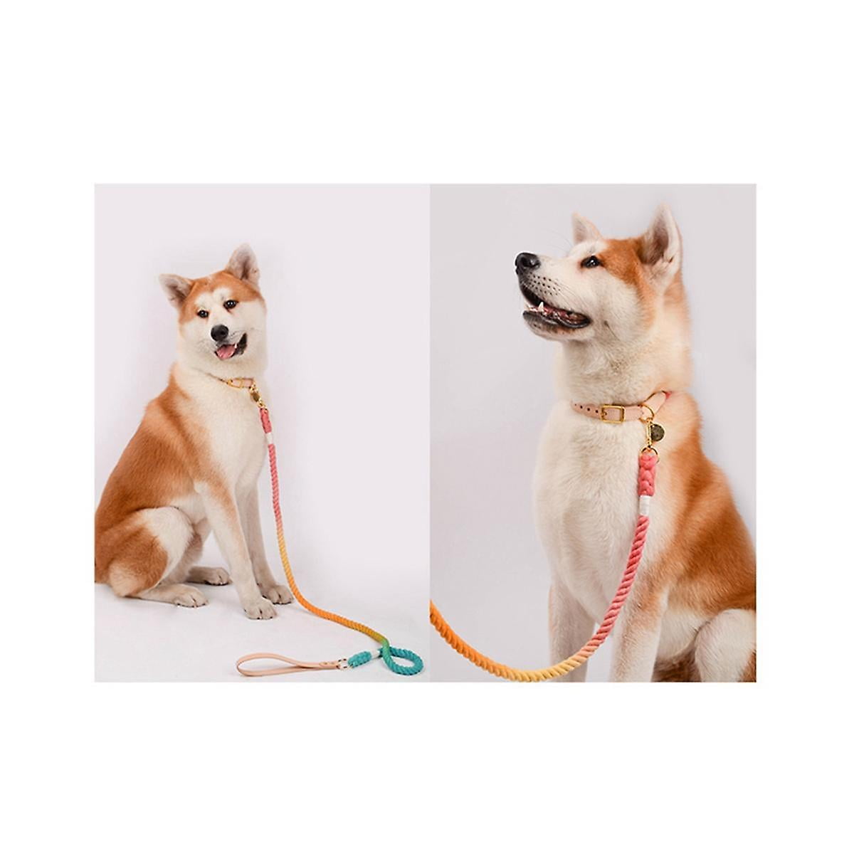 Colorful Leash Round Cotton Dog Leash Cute Rainbow Pet Long Leash Outdoor Dog Training Leash Walmart