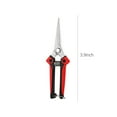 thumbnail image 4 of Professional Garden Pruning Shears | Stainless Steel Blade | Non-Slip Handles | Fruit Tree Flower Trimming Scissors | 4 Color Options | 8-Inch Gardening Tool, 4 of 6