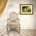 thumbnail image 3 of Horton, Janet 32x23 Gold Ornate Wood Framed with Double Matting Museum Art Print Titled - Ten week old Red Golden Retriever puppy-PR, 3 of 4