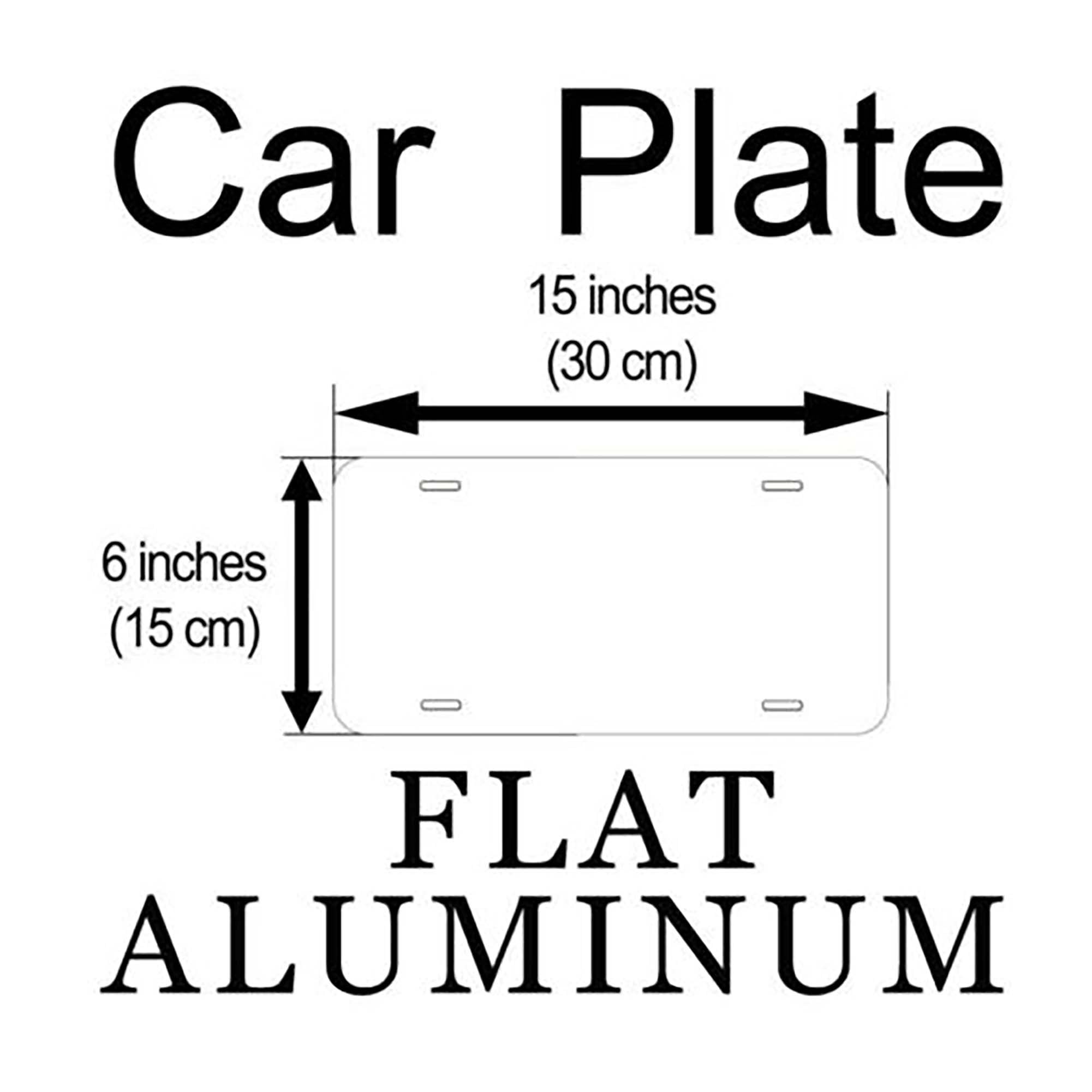 Fredericton TAG01 New Brunswick Canada Novelty Car Auto License Plate