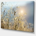 thumbnail image 2 of Typical Tuscany Sunset Italy - Landscape Canvas Art Print, 2 of 4