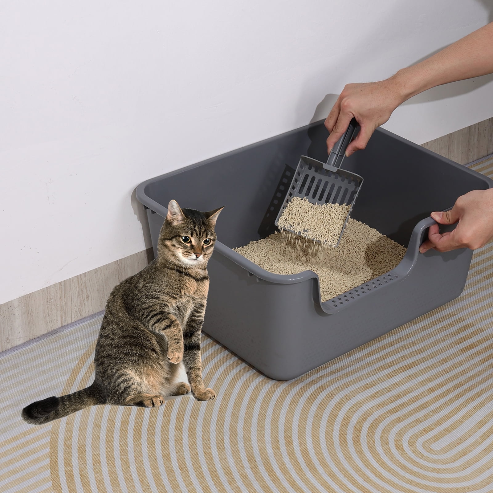 Gloreen 2 Pack Plastic High Side Cat Litter Boxes, Open Top, Include Litter Scoops, Gray