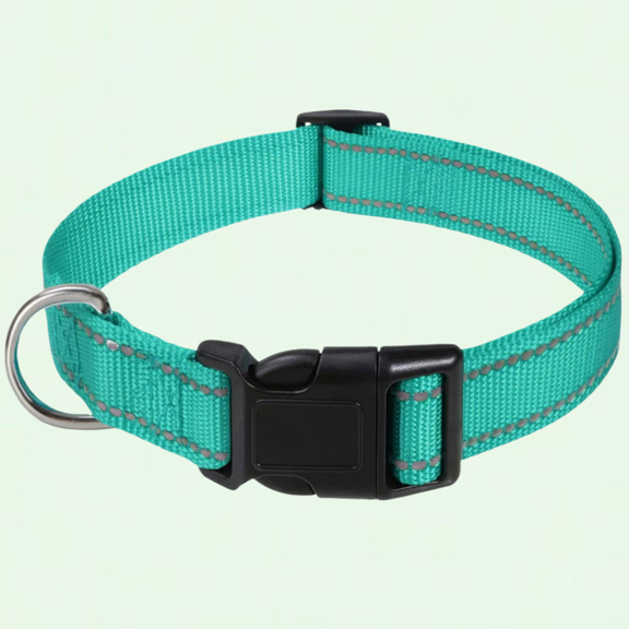 Teal Reflective Dog Collar, Adjustable Nylon Safety Collar for Small Medium Large Dogs - XS