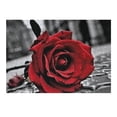thumbnail image 2 of Awypu Red Rose Neo-Romanticism Wooden Puzzle Gift for Family Friends 300 PCS, 2 of 4