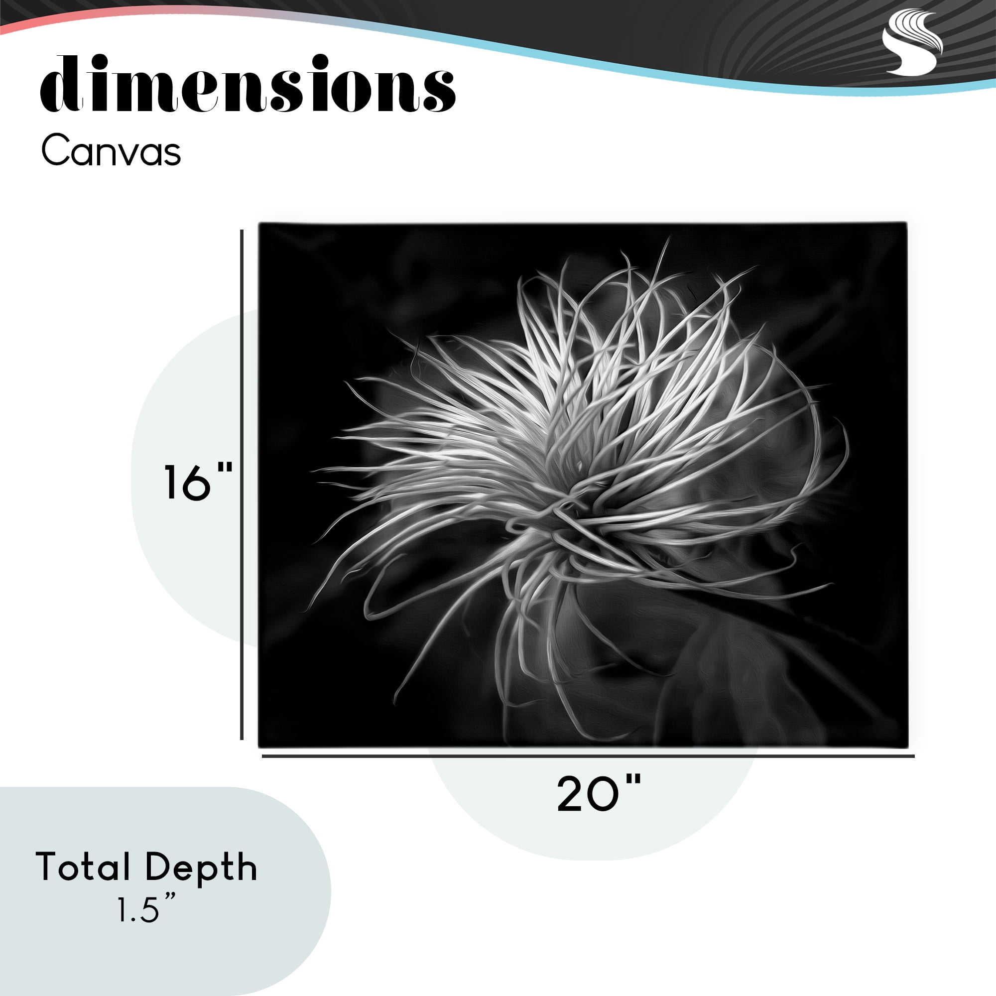 Twisting Botanical Leaves Contrast Canvas Wall Art, design by Phillip Flowers