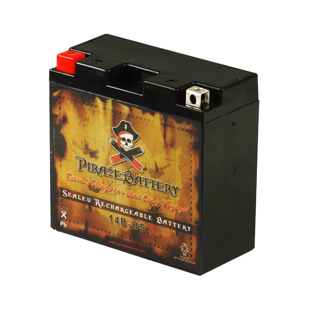 Yt14BBs Motorcycle Battery For Yamaha Xvs1100 VStar (All) 1100Cc 99
