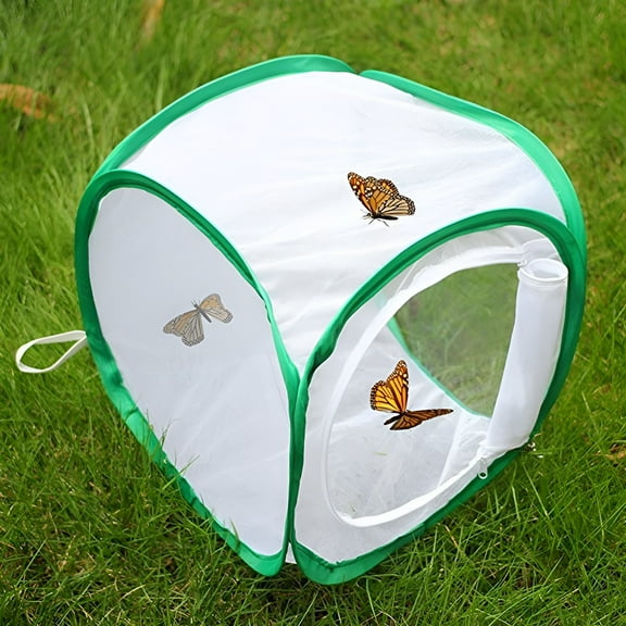 BESTSKY Butterfly Kit with Live Caterpillars, Butterfly Habitat, Butterfly Cage, Butterfly House, 1Pc Portable Foldable Insect and Butterfly Habitat Cage Housing Enclosure, Green