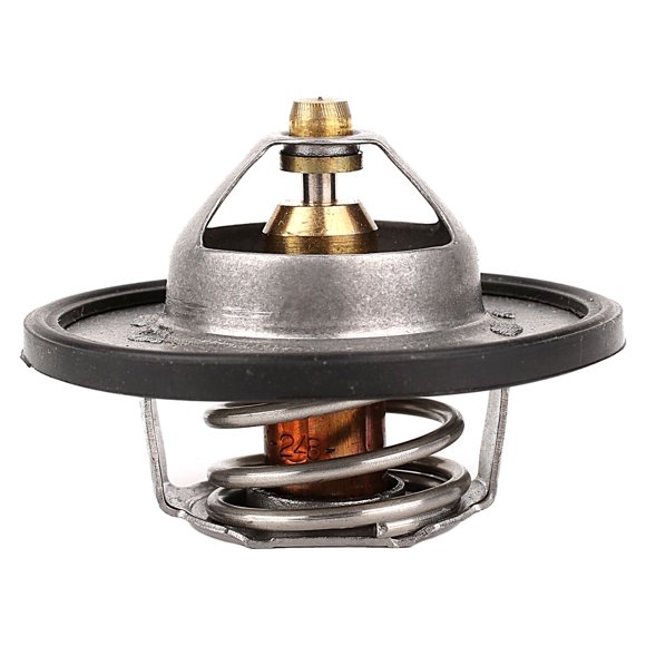 Termostato KEEP ON GREEN 183700-6194816 88 °c