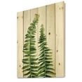 thumbnail image 2 of Designart 'Fern Plant Leaves Detail IV' Farmhouse Print on Natural Pine Wood, 2 of 5