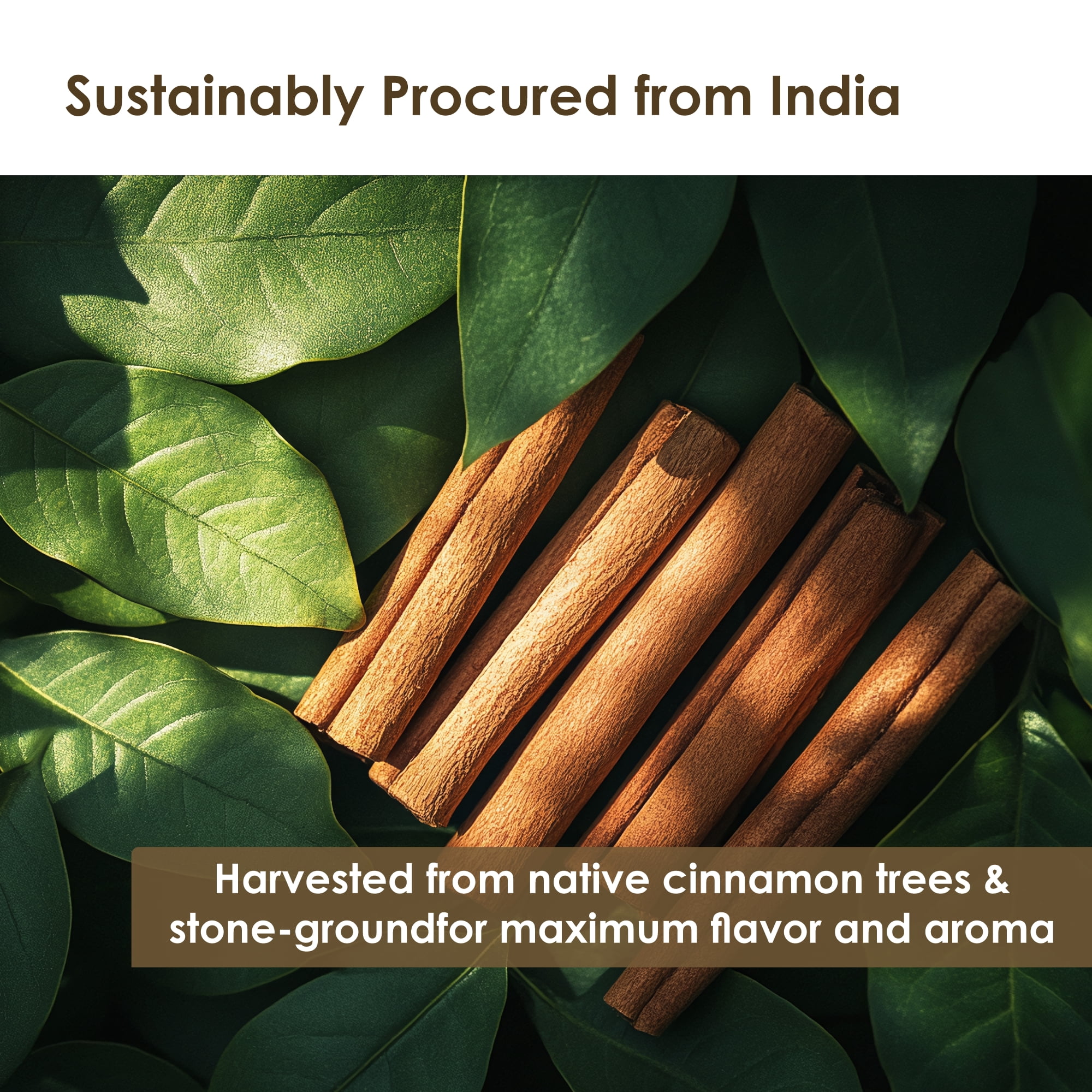 Organic Cinnamon Powder 15.90 oz - Organic Ground Cinnamon Bulk Spice - USDA Certified, Gluten Free, Kosher - for Baking & Cooking - The Holly Tree
