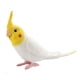 thumbnail image 5 of Figuras de pájaro cacatúa, adorno de pájaro para jardín, educación temprana, loro educativo blanco, 5 of 9