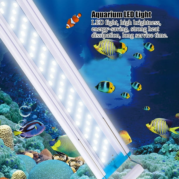 24W LED éclairage d'aquarium blanc + bleu aquarium à lumière