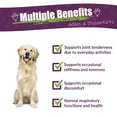 thumbnail image 3 of Amber NaturalZ Adizone for Dogs | Herbal Supplement for Mobility & Joint Support 1oz, 3 of 7