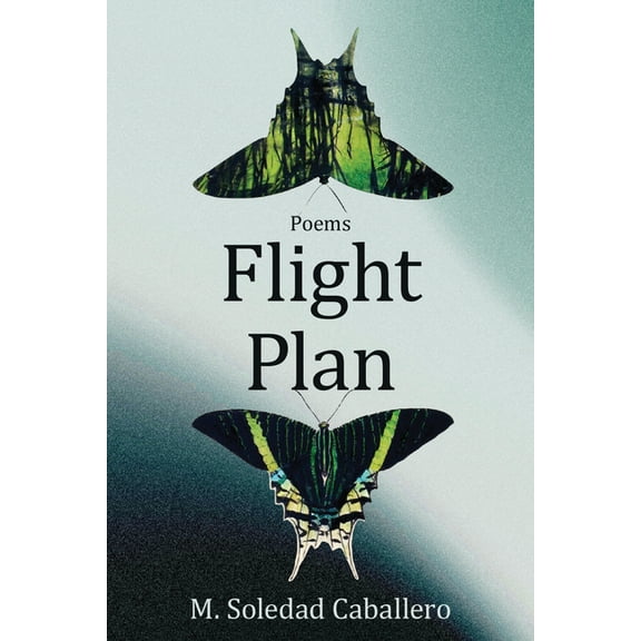 Flight Plan: Poems, (Hardcover)