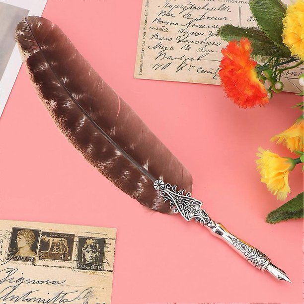 Vintage European Fountain Pen Sign Pen Calligraphy Feather Quill Dip ...