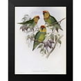 thumbnail image 2 of Glover, John 15x18 Black Modern Framed Museum Art Print Titled - Western Perroquet, 2 of 5