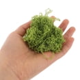 thumbnail image 4 of Shisuyan Moss Decoration for Offices 1 Set, 4 of 8