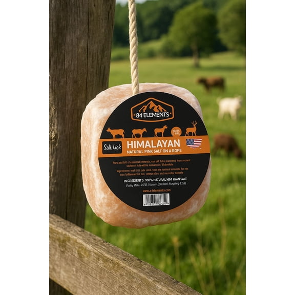 Organic Pink Himalayan Salt Lick - Equine