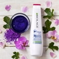 thumbnail image 5 of Matrix Biolage ColorLast Purple Shampoo 13.5 oz - Pack of 2, 5 of 7