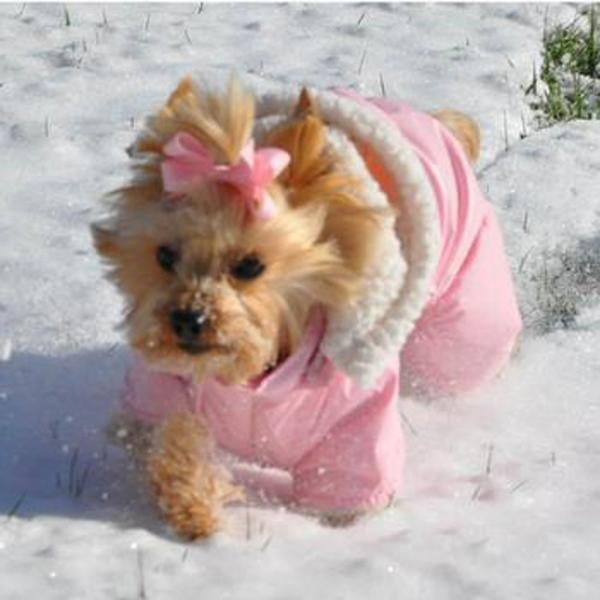 small dog snowsuit with feet