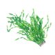 thumbnail image 4 of KAKOWELY En Para Decorar Peceras Con Apariencia Natural Y Fácil Limpieza, 4 of 8