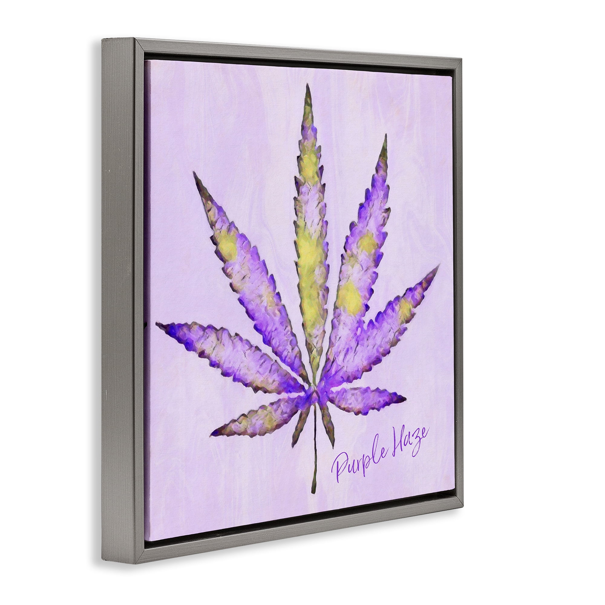 Stupell Industries Purple Haze Plant Leaf Plants & Flowers Painting Gray Floater Framed Canvas Art Print Wall Art, 25 x 25