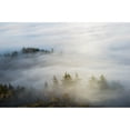 thumbnail image 2 of Morning sun lights up the fog; Astoria, Oregon, United States of America Poster Print (38 x 24), 2 of 4