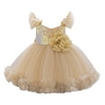 thumbnail image 2 of Pejock Baby Girl Pageant Dress with 3D Flowers & Sequins - Flying Sleeve Mesh Princess Gown for Performances, Recitals, Photoshoots 6M-3Y, 2 of 8