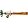 Arrowhead Brass 456-10BCLD Frost Free Hydrant 10 In.