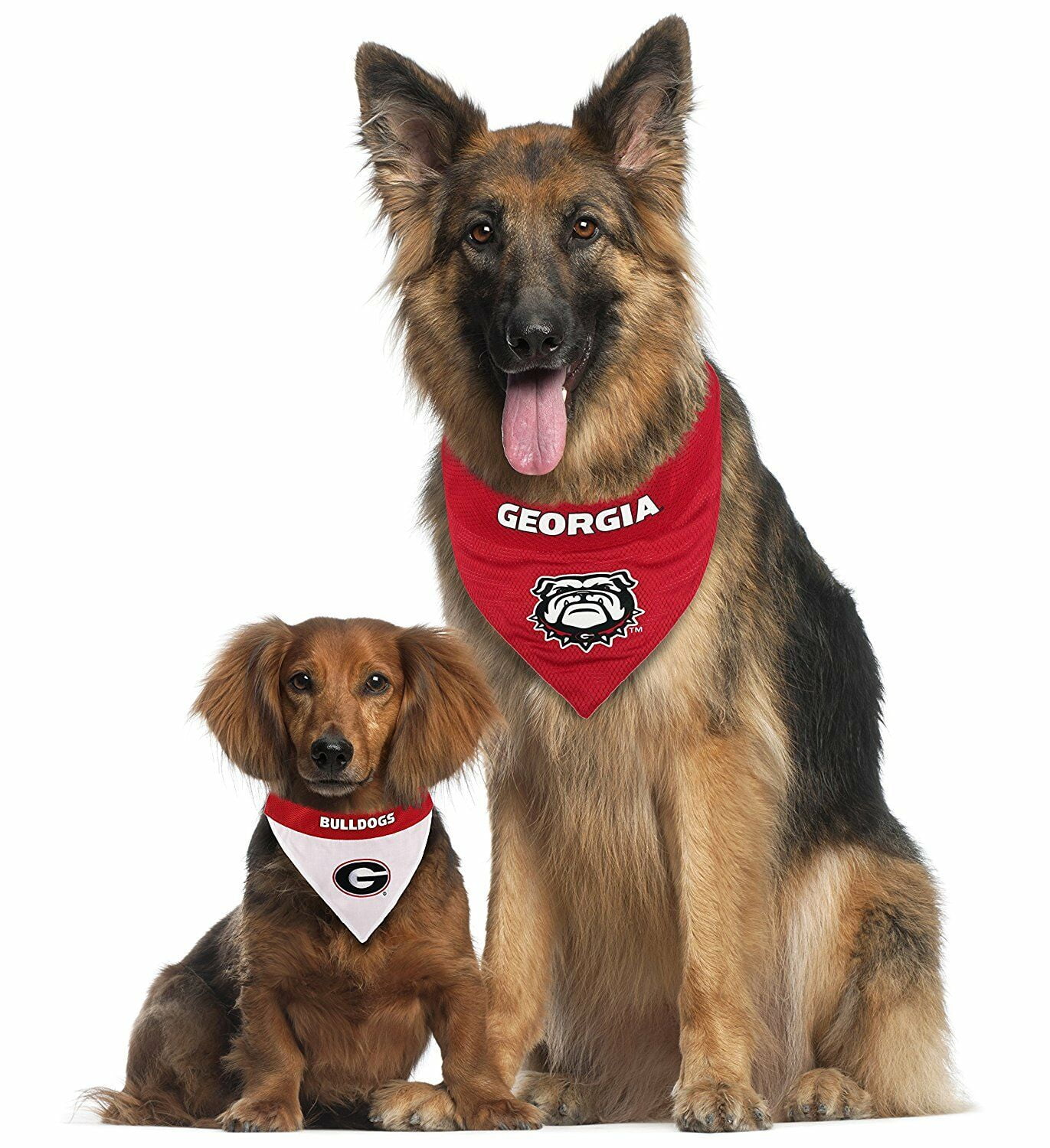 NEW GEORGIA BULLDOGS DOG CAT MESH JERSEY BANDANA 2 SIZES LICENSED 