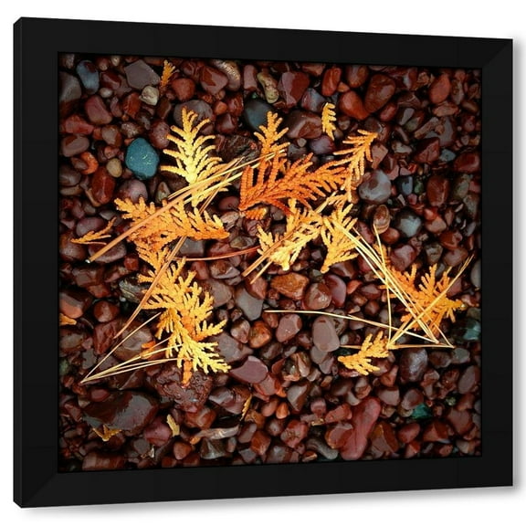 Jan Bell 12x12 Black Modern Wood Framed Wall Art Titled - Brown Pebbles with Cedar