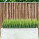 thumbnail image 5 of Uxcell 12Pcs Plantas de Hierba Artificial, 15.7" Hierba de Trigo Plástica Verde para Exteriores, Arbustos Verdes, 5 of 6