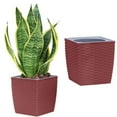 thumbnail image 2 of JWDX Flower Pots Clearance! Square Flower Pot Creative Woven Rattan Plastic Flower Pot Lazy Automatic Water Absorbent Green Flower Pot Gardening Include Flower Pot*1, 2 of 2
