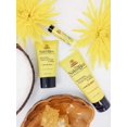 thumbnail image 2 of The Jojoba Company Ultimate Youth Potion Mantiene el brillo juvenil Mejora la elasticidad y firmeza de la piel Enriquecida con fórmula patentada L22 - Restaura el perfil lipídico de la piel de un jove, 2 of 5