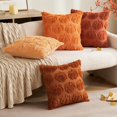 thumbnail image 5 of Lomyolo Throw Pillow Covers Pumpkin Fall Decorative Soft Faux Fur Pillow Covers for Autumn Harvest Fluffy Plush Accent Pillow Cases for Farmhouse Couch Cushion Covers 2 Pack, 5 of 7