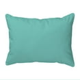 thumbnail image 3 of Betsy Drake Interiors Mermaid's Handbook Large Indoor/Outdoor Pillow 16x20, 3 of 3