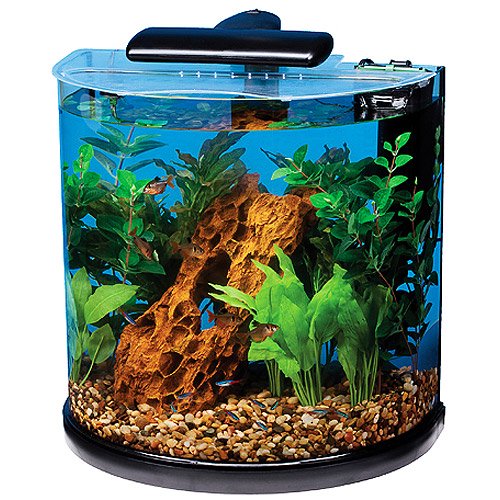 Tetra 29234 Half Moon Aquarium Kit 10Gallon (Pack of 1)