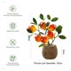 thumbnail image 2 of Bonsái de frutas, flor de simulación, planta verde creativa, decoración del hogar, planta verde en maceta, 2 of 5